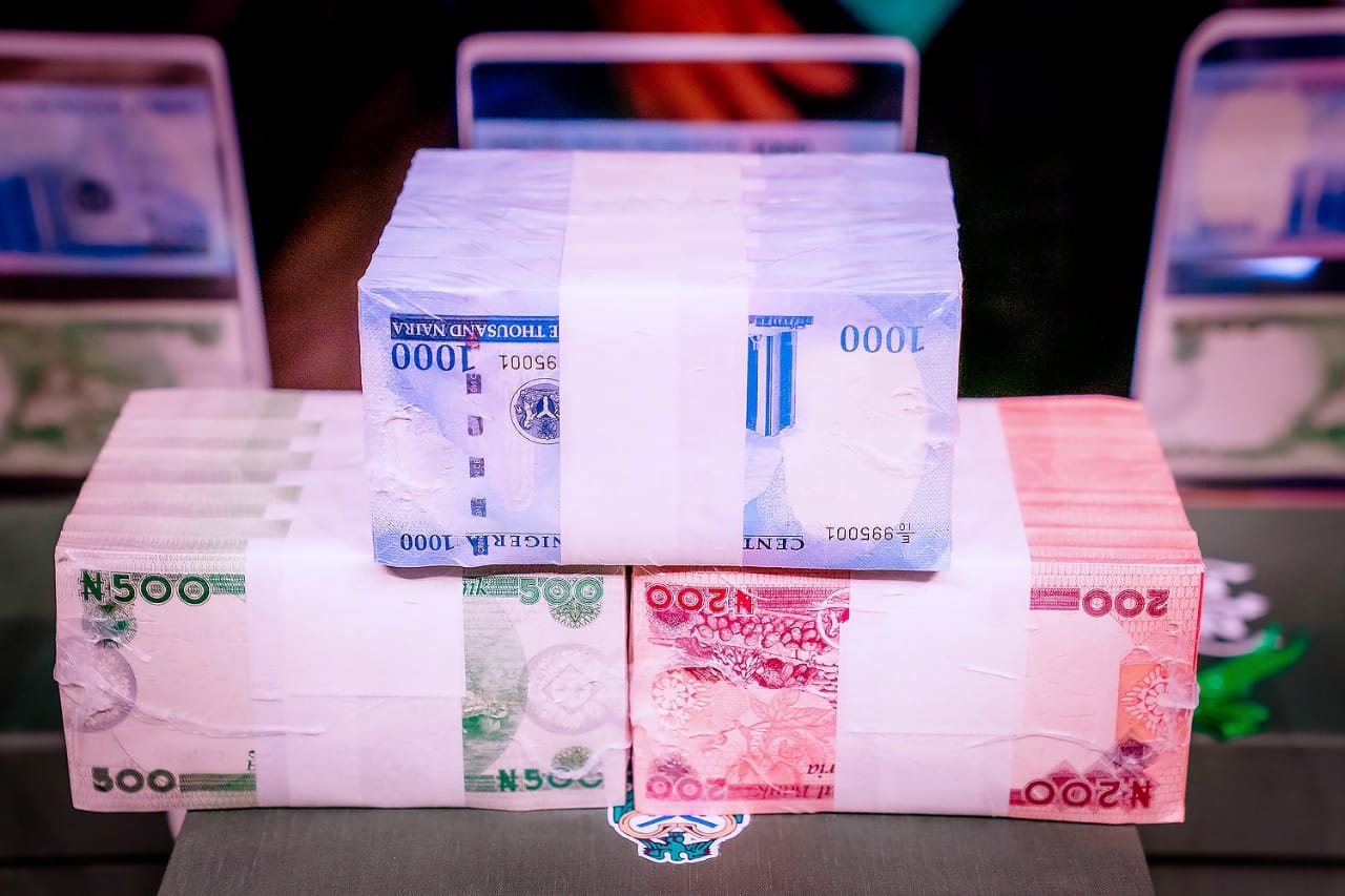 The Naira Redesign: A Closer Look at the Pros and Cons for SMEs