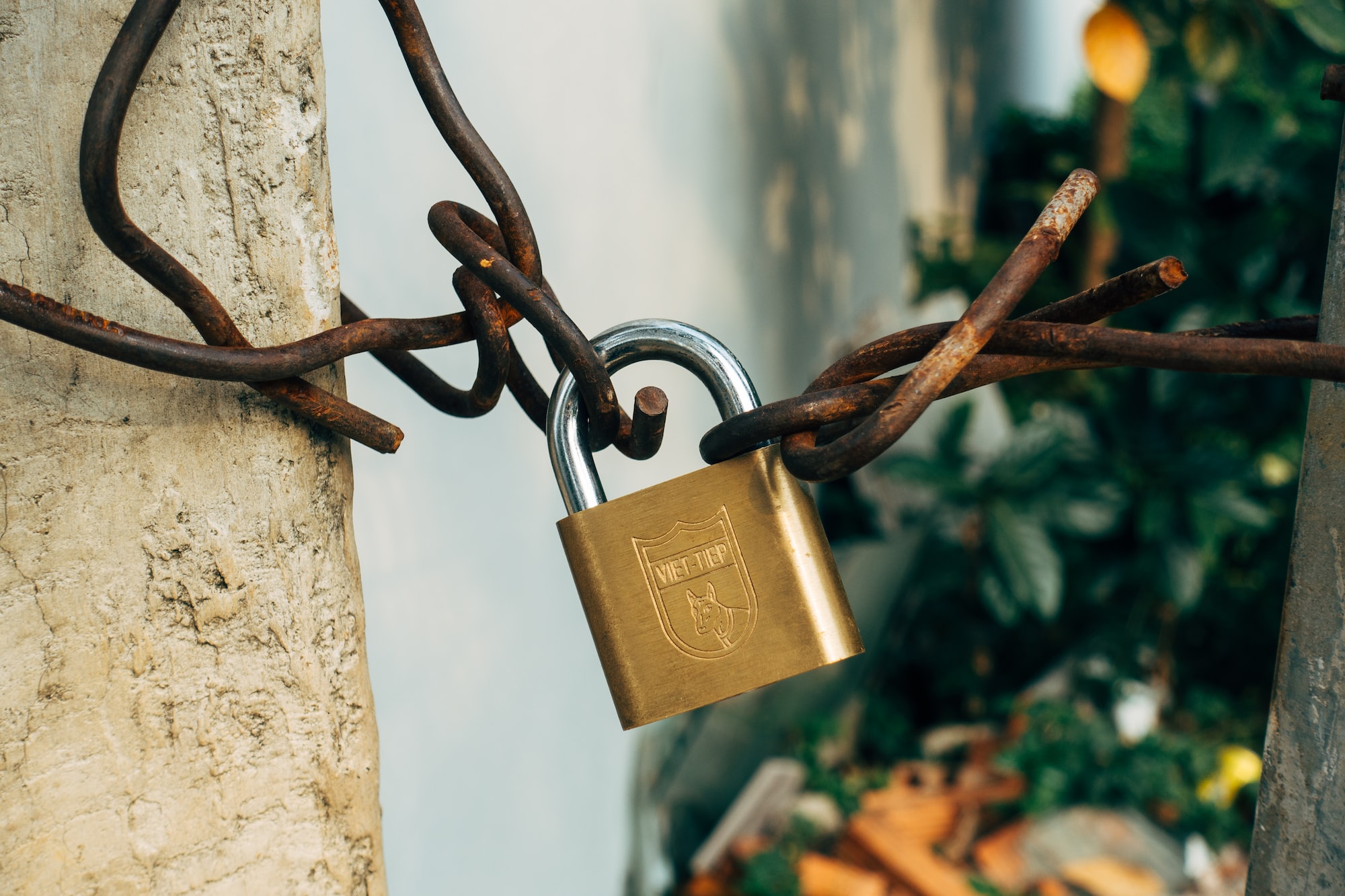 Shield Your Small Business: Essential Internet Security Tips for Entrepreneurs