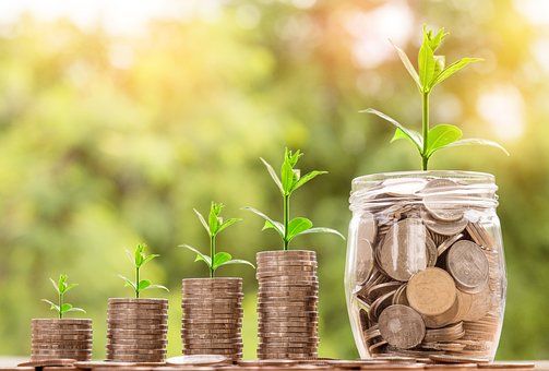 From Seed to Success: Actionable Tips for Growing Your Small Business.