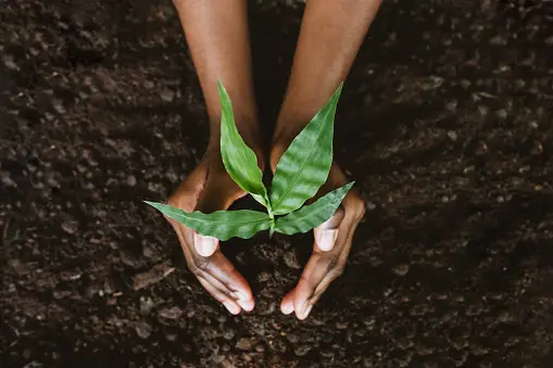 Leveraging Agribusiness Advantages for Nigerian SMEs.